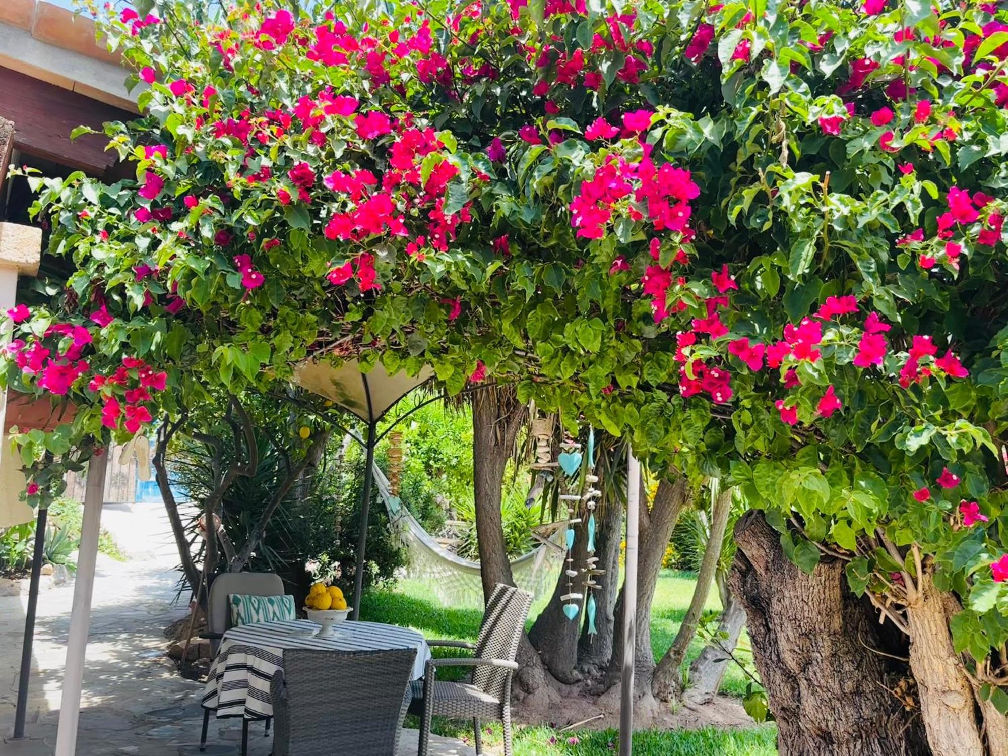 Casita Limon Andratx Villa Luaran gambar