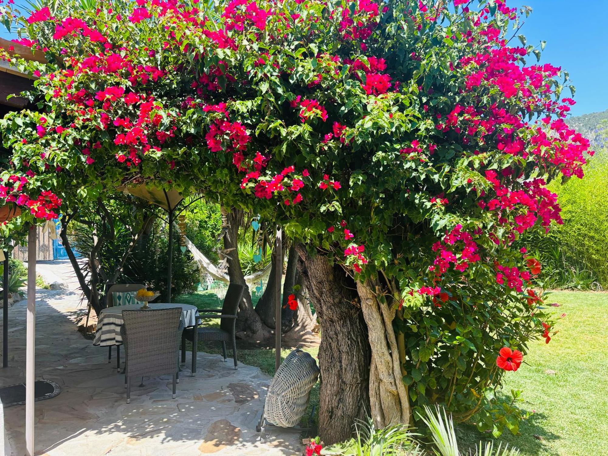 Casita Limon Andratx Villa Luaran gambar